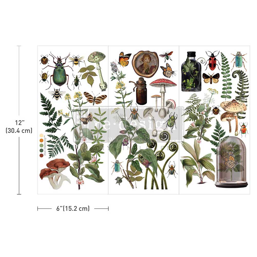 Botanical Archives Small Transfers