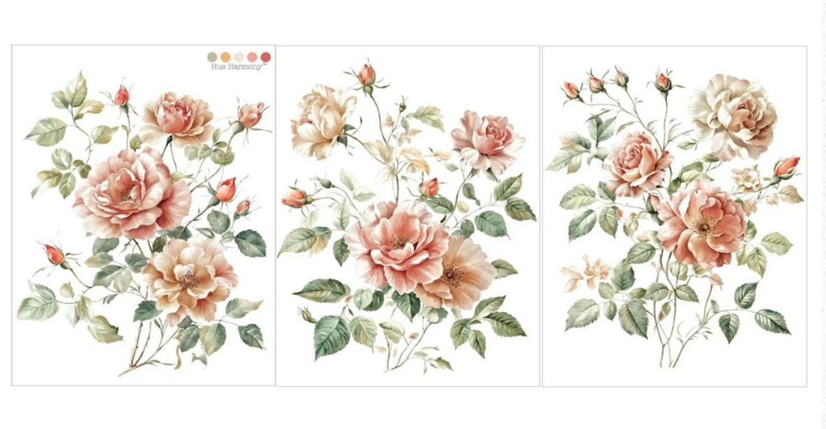 Gentle Symphony Middy Tranfers