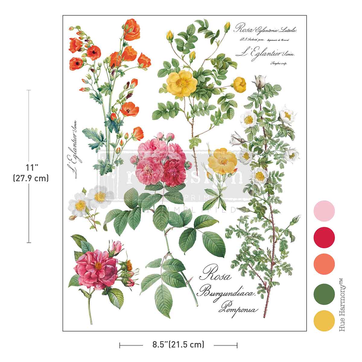 Poetry In Petals H2O Transfers Single Sheet