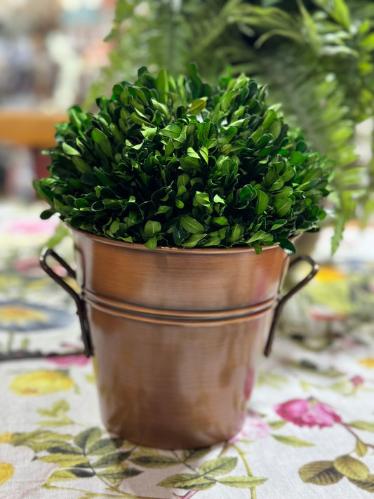 Copper Bucket with Boxwood Topiary